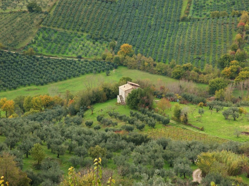 Sabina sublime-Dettagli d''autunno